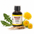 Mniszek Lekarski — ekstrakt z korzenia 100ml